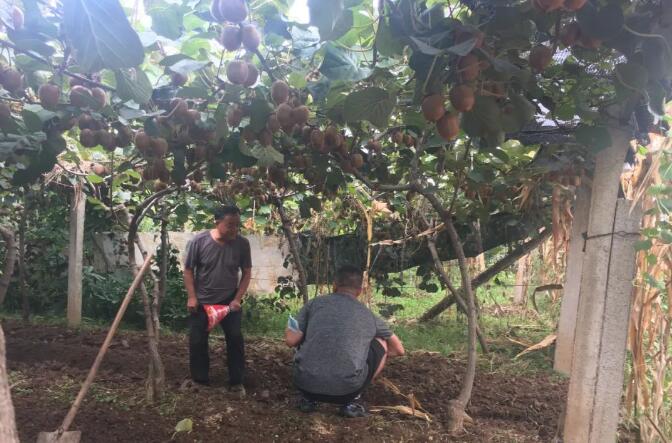 1720078119415014.jpg QQ截圖20240704152647.jpg